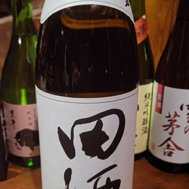 でんしゅ入荷♪